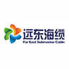 遠東海纜有限公司