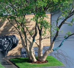 杭州格頓景觀設計有限公司