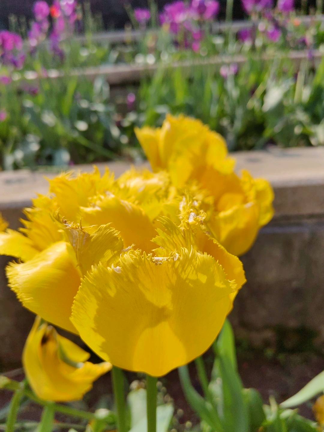 江西君辰建設有限公司