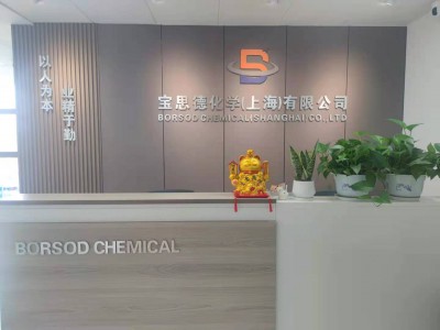 宝思德化学（上海）有限公司
