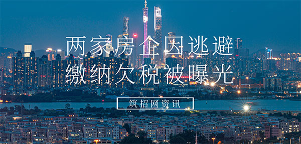 房地产企业逃税案件
