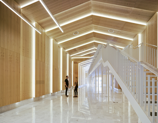 建筑师设计翻新西班牙阿利坎特大学自然博物馆