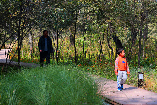 景观设计师设计北京环境教育主题城市森林公园