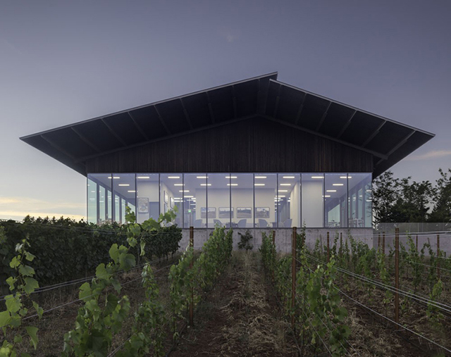 建筑师对已有的葡萄酒厂翻新和扩建
