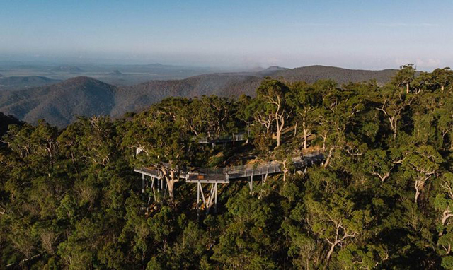 澳洲彻山顶高架园林观景栈道